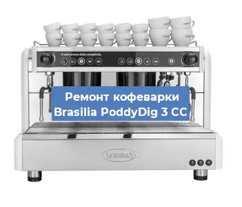 Замена термостата на кофемашине Brasilia PoddyDig 3 CC в Челябинске